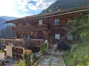 Bauernhaus Viehhauser
